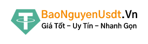 Logo BaoNguyenUSDT.Vn